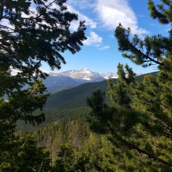 Meet your Posher, Adrienne - Picture 1 of 1